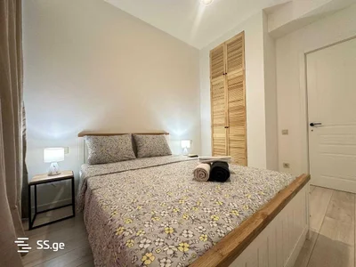 2 room Flat Daily rent. Didi digomi