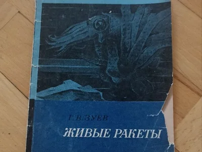Живые ракеты