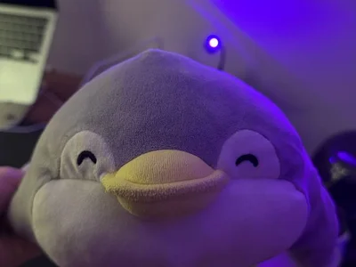 Мягкий пингвин Miniso