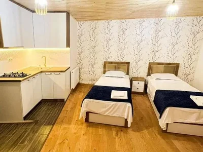 1-комнатная квартира в Тбилиси