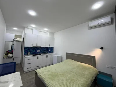 Студия в центре, Шота Руставели 22, $300