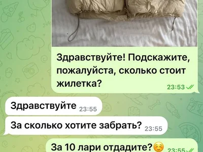 Жилетка