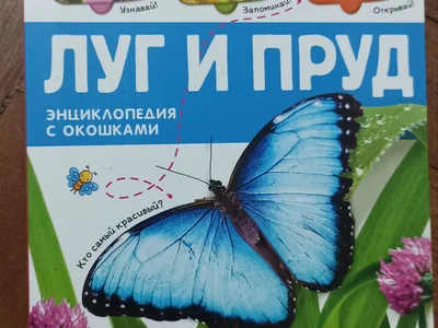Детские игрушки и принадлежности