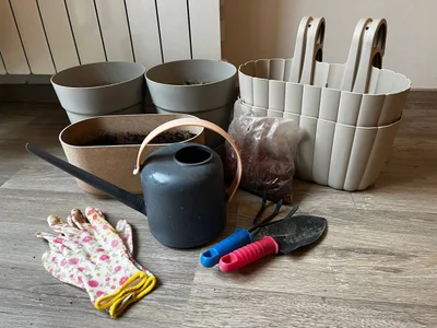🎁 В подарок инструменты, перчатки и немного начатая упаковка дренажных камушков