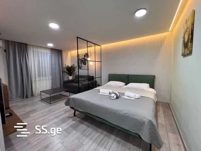 2 room Flat Daily rent. Digomi