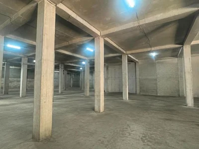 Store-Industrial property For Rent. Zahesi
