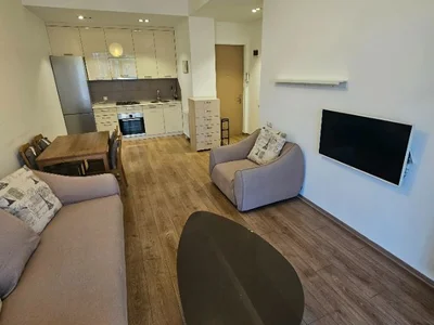 2 room Flat For Rent. Saburtalo