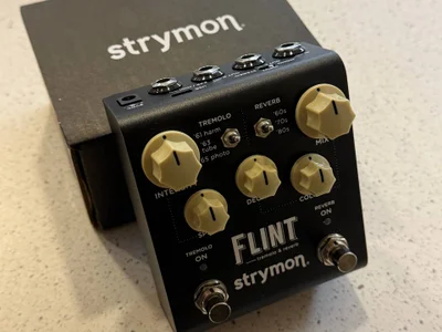 Педаль эффектов Strymon Flint v2