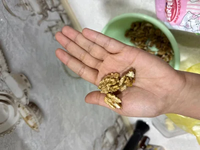 Грецкий орех