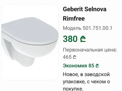 Подвесной унитаз Geberit Selnova Rimfree
