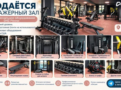 Профессиональный тренажерный зал DHZ Fitness