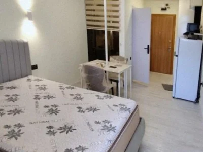 Alley Palace: Студия, 30,0 м²