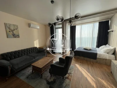 1-комнатная квартира в Тамари, $450