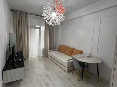 1 room Flat For Rent. Saburtalo