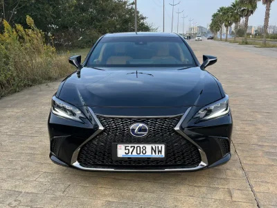 Lexus ES 300h