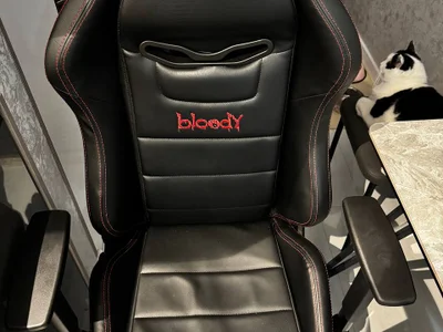 Кресло - Bloody
