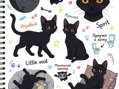 Котенок Спирит