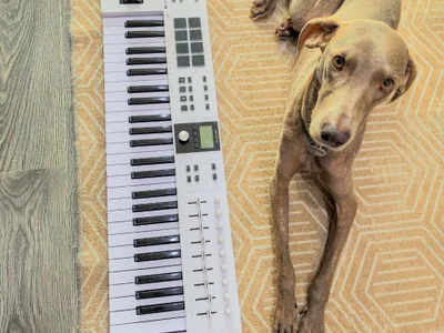 Миди клавиатура Arturia KeyLab Essential 49 MK3