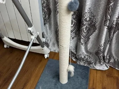 Когтеточка