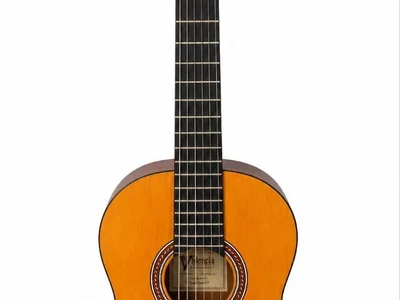 Классическая гитара Valencia VC202 (размер 1/2)