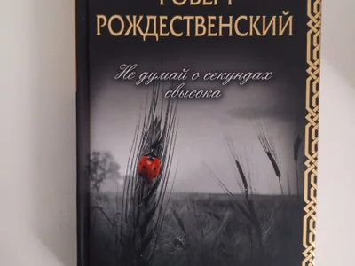 Книга Над пропастью во ржи, Сэлинджер
