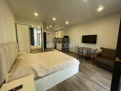 0+1, 38 м², ул. Григол Лорткипанидзе 6А, $400