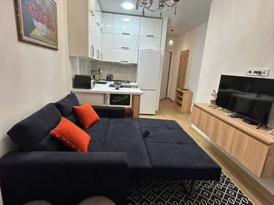 1+1 возле парка 6 мая, ул. 26 Мая 52, $700