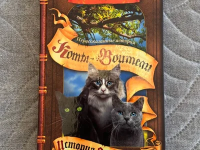 Книга 'Дух из волшебной флейты' (обе части)