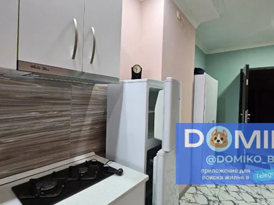 Долгосрочная аренда 2-комнатной квартиры в Khimshiashvili District