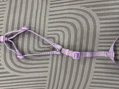 Шлейка для собак Pro Comfort