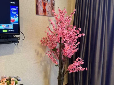 2 room Flat Daily rent. Nadzaladevi
