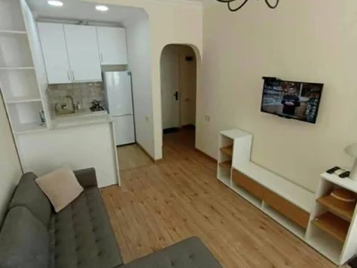 1-комнатная квартира, 45 кв.м, 8/22 эт., ул. Инасаридзе 16А