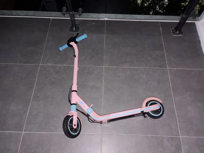 Электрический самокат Ninebot Kids ZING E8
