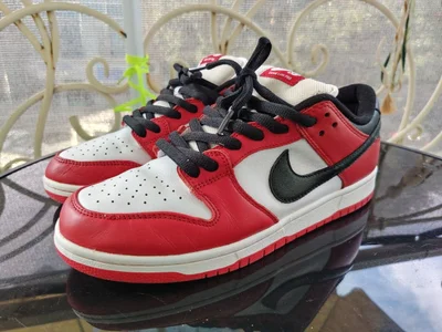 Nike SB Dunk chicago