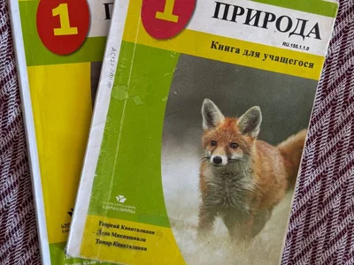 Распечатки для 1 класса