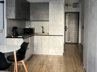 Роскошный дом: Студия, 25,0 м²