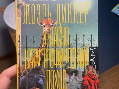 Книга Жоэль Диккер «Ужасно катастрофический поход в зоопарк»