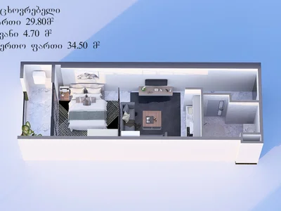 Студия на ГР. Лорткипанидзе ул. 3 Airport District