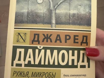 Дженга