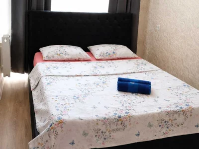 2 room Flat Daily rent. Mukhiani