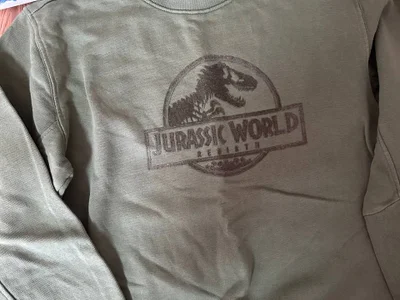 Свитшот Jurassic world до 140 см