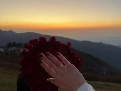 Морская ракушка