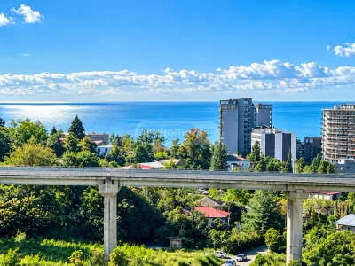 Посуточно 10+ комнатный отель в Махинджаури