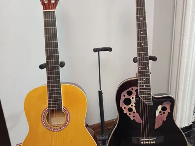Гитары Ibanez