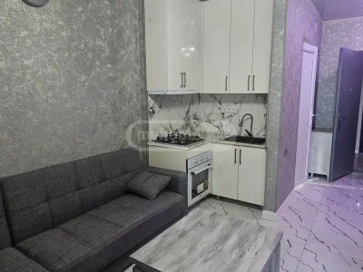 1+1 на Bagrationis Shes. 3099 ბაგრატიონის უბანი