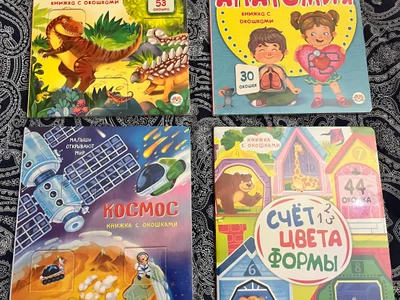 Новые книги (в упаковочной пленке) с окошками в твердой обложке, размер 20*26.