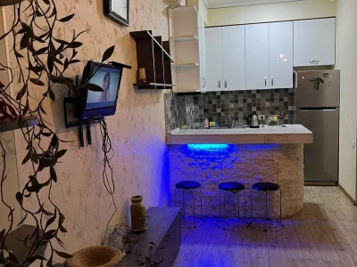 Ул. Илия Сухишвили, 12: 2-комнатная, 55,0 м²