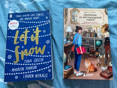 Книга Дневник из антикварной лавки