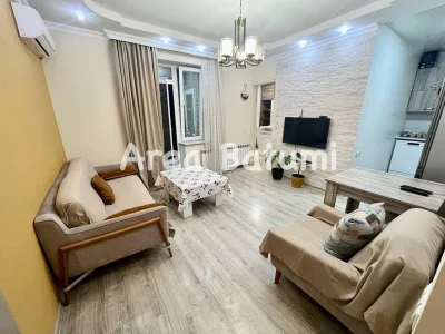 2-комнатная квартира, 55 кв.м, ул. Шерифа Химшиашвили, 41