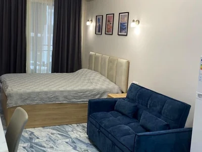 Дом : Студия, 30,0 м²